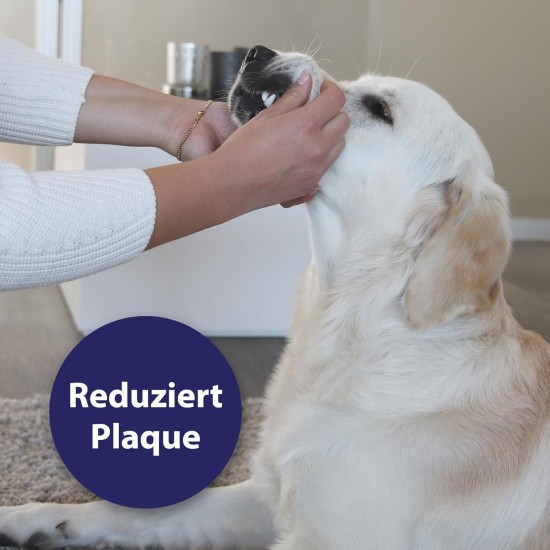 Canosept Dental Care Finger Pads for Dogs - Finger Pads for Effective Dental Cleaning, Oral Hygiene and Fresh Breath - Reduces Plaque Canosept Dental Care Finger Pads for Dogs - Finger Pads for Effective Dental Cleaning, Oral Hygiene and Fresh Breath - Reduces Plaque