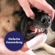 Canosept Dental Care Finger Pads for Dogs - Finger Pads for Effective Dental Cleaning, Oral Hygiene and Fresh Breath - Reduces Plaque Canosept Dental Care Finger Pads for Dogs - Finger Pads for Effective Dental Cleaning, Oral Hygiene and Fresh Breath - Reduces Plaque