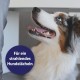 Canosept Dental Care Finger Pads for Dogs - Finger Pads for Effective Dental Cleaning, Oral Hygiene and Fresh Breath - Reduces Plaque Canosept Dental Care Finger Pads for Dogs - Finger Pads for Effective Dental Cleaning, Oral Hygiene and Fresh Breath - Reduces Plaque