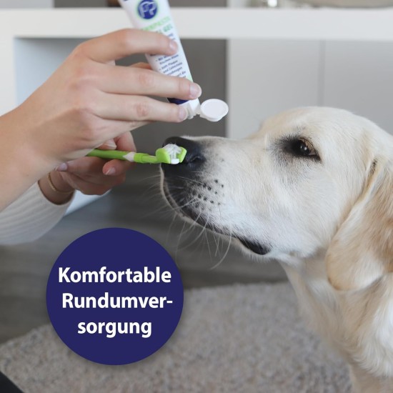 Canosept Dental Care Finger Pads for Dogs - Finger Pads for Effective Dental Cleaning, Oral Hygiene and Fresh Breath - Reduces Plaque Canosept Dental Care Finger Pads for Dogs - Finger Pads for Effective Dental Cleaning, Oral Hygiene and Fresh Breath - Reduces Plaque
