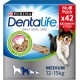 DENTALIFE Medium - Multipack - 42 Chews for Medium Dogs - 966g - Everyday Oral Hygiene DENTALIFE Medium - Multipack - 42 Chews for Medium Dogs - 966g - Everyday Oral Hygiene