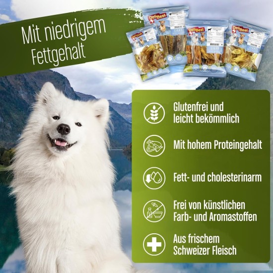 DeliBest Light Horse Tendons I Dental Sticks I Dog Snacks Grain-Free I Natural Dog Tartar Remover I Chew Items Made of Horse Meat for Dogs I Dog Dental Care Snack 200 g DeliBest Light Horse Tendons I Dental Sticks I Dog Snacks Grain-Free I Natural Dog Tartar Remover I Chew Items Made of Horse Meat for Dogs I Dog Dental Care Snack 200 g