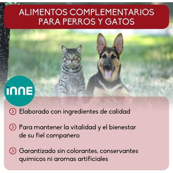 Dental Cleaning - Supplementary Feed - Dogs & Cats - Oral Hygiene - Glass 60 g Dental Cleaning - Supplementary Feed - Dogs & Cats - Oral Hygiene - Glass 60 g