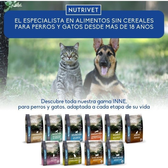 Dental Cleaning - Supplementary Feed - Dogs & Cats - Oral Hygiene - Glass 60 g Dental Cleaning - Supplementary Feed - Dogs & Cats - Oral Hygiene - Glass 60 g