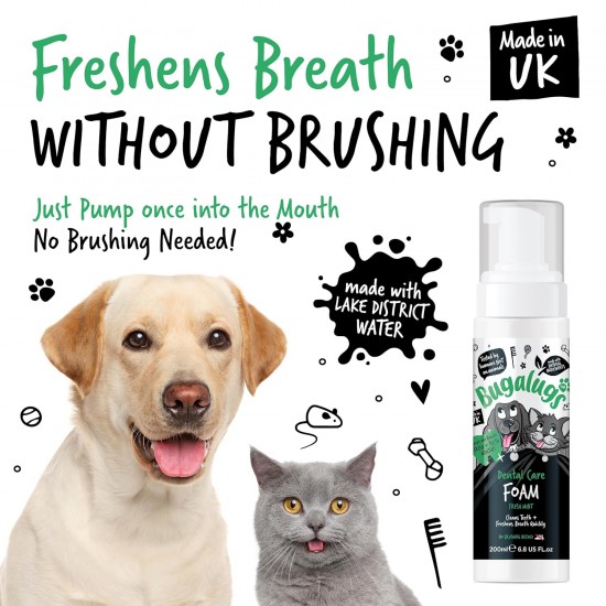 Dental Foam for Dogs - 200ml - Fresh Mint Flavour - Oral Hygiene Without Brush, Reduces Plaque and Bad Breath, Easy to Use for Daily Dental Care Dental Foam for Dogs - 200ml - Fresh Mint Flavour - Oral Hygiene Without Brush, Reduces Plaque and Bad Breath, Easy to Use for Daily Dental Care
