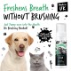 Dental Foam for Dogs - 200ml - Fresh Mint Flavour - Oral Hygiene Without Brush, Reduces Plaque and Bad Breath, Easy to Use for Daily Dental Care Dental Foam for Dogs - 200ml - Fresh Mint Flavour - Oral Hygiene Without Brush, Reduces Plaque and Bad Breath, Easy to Use for Daily Dental Care