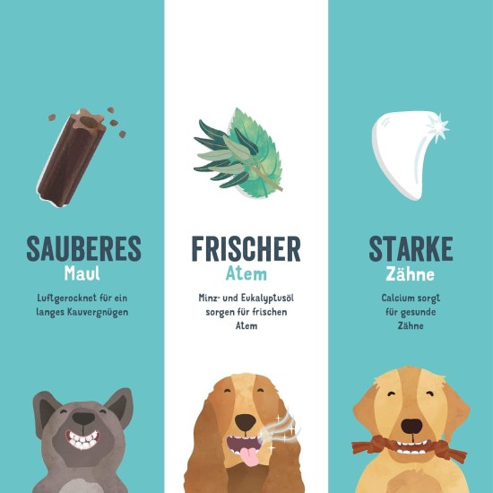 Edgard & Cooper Snacks 56 Dental Stick for Large Dogs Natural 8 x 7 Chew Sticks Dental Care Eucalyptus & Apple, Once Daily, Low Calorie Long Chewing Effective, Fresh Breath Edgard & Cooper Snacks 56 Dental Stick for Large Dogs Natural 8 x 7 Chew Sticks Dental Care Eucalyptus & Apple, Once Daily, Low Calorie Long Chewing Effective, Fresh Breath