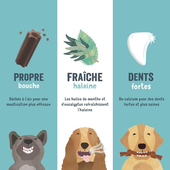 Edgard Cooper Dog Treat (Eucalyptus & Apple, 7 Sticks x 8), Large, One a Day, Low Calorie, Long, Efficient Chew, Fresh Breath Edgard Cooper Dog Treat (Eucalyptus & Apple, 7 Sticks x 8), Large, One a Day, Low Calorie, Long, Efficient Chew, Fresh Breath