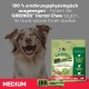 Greenies Dental Treats Original Dental Care Snacks Dog Treats for Daily Teeth Cleaning Greenies Dental Treats Original Dental Care Snacks Dog Treats for Daily Teeth Cleaning