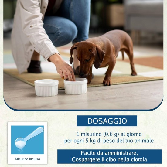 NEOVETO Expert Organic Active Plate - 100g - Tartar, Bad Breath - Natural Dental Care for Dogs and Cats - Up to 100 Days of Healing NEOVETO Expert Organic Active Plate - 100g - Tartar, Bad Breath - Natural Dental Care for Dogs and Cats - Up to 100 Days of Healing