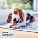 PURINA DENTALIFE Mini Dog Dental Care Snacks Reduce Tartar Formation, Chicken, Small Dogs, 108 Sticks PURINA DENTALIFE Mini Dog Dental Care Snacks Reduce Tartar Formation, Chicken, Small Dogs, 108 Sticks