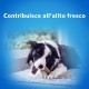 PURINA Dentalife Dog Snack for Oral Hygiene, Extra Small, 6 Packs of 7 Sticks, Total 42 Sticks