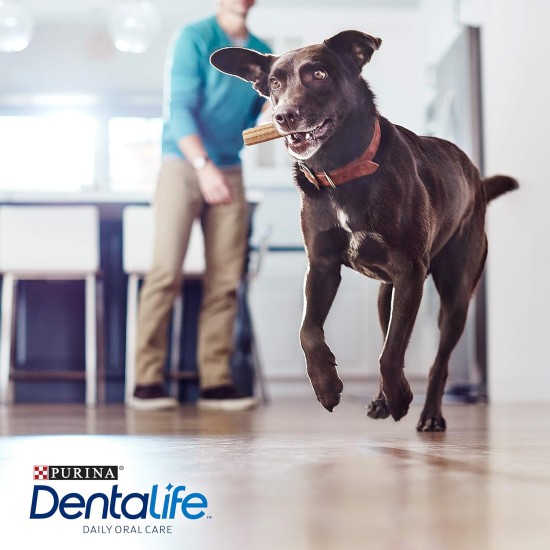 PURINA Dentalife Multipack Dog Dental Care Snacks Reduces Tartar Formation Maxi 72 Pieces PURINA Dentalife Multipack Dog Dental Care Snacks Reduces Tartar Formation Maxi 72 Pieces