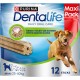 PURINA Dentalife Multipack Dog Dental Care Snacks Reduces Tartar Formation Maxi 72 Pieces PURINA Dentalife Multipack Dog Dental Care Snacks Reduces Tartar Formation Maxi 72 Pieces