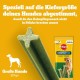 Pedigree DentaStix Daily Fresh dental care snack for medium-sized dogs - dog treats with active ingredients for every day - for healthy teeth and fresh breath - 112 sticks (4 x 28 pieces) Pedigree DentaStix Daily Fresh dental care snack for medium-sized dogs - dog treats with active ingredients for every day - for healthy teeth and fresh breath - 112 sticks (4 x 28 pieces)