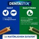 Pedigree DentaStix Daily Fresh dental care snack for medium-sized dogs - dog treats with active ingredients for every day - for healthy teeth and fresh breath - 112 sticks (4 x 28 pieces) Pedigree DentaStix Daily Fresh dental care snack for medium-sized dogs - dog treats with active ingredients for every day - for healthy teeth and fresh breath - 112 sticks (4 x 28 pieces)