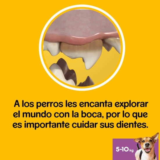 Pedigree DentaStix Daily Oral Care Small Dog Dental Treat - Chicken & Beef Flavoured Dog Treats for Every Day - 1 x 56 Pieces Pedigree DentaStix Daily Oral Care Small Dog Dental Treat - Chicken & Beef Flavoured Dog Treats for Every Day - 1 x 56 Pieces