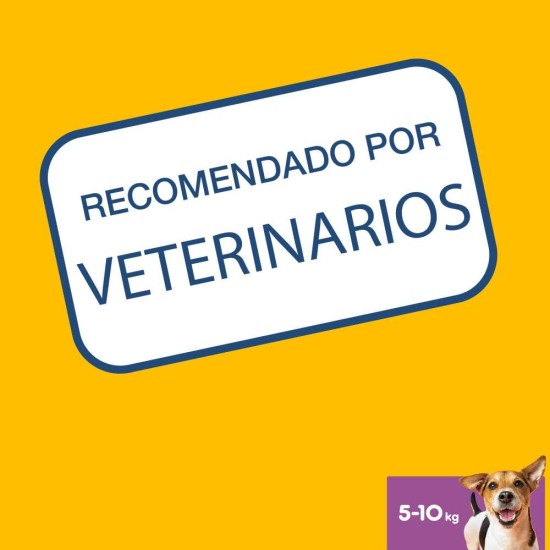 Pedigree DentaStix Daily Oral Care Small Dog Dental Treat - Chicken & Beef Flavoured Dog Treats for Every Day - 1 x 56 Pieces Pedigree DentaStix Daily Oral Care Small Dog Dental Treat - Chicken & Beef Flavoured Dog Treats for Every Day - 1 x 56 Pieces