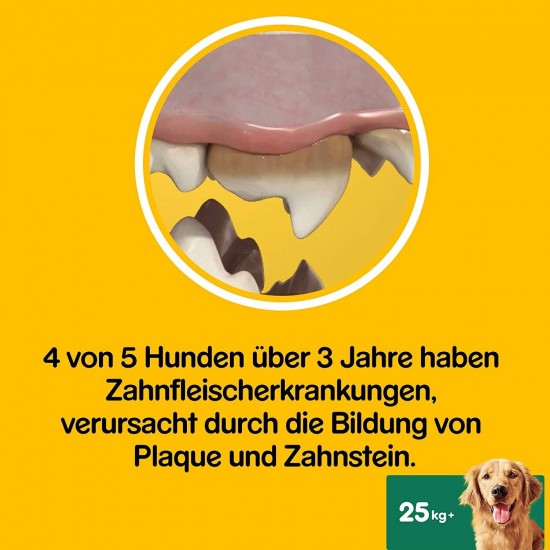 Pedigree DentaStix Fresh dog treats for large dogs, chewing tartar, for healthy teeth and a fresh breath, pack of 10 (10 x 7 pieces) Pedigree DentaStix Fresh dog treats for large dogs, chewing tartar, for healthy teeth and a fresh breath, pack of 10 (10 x 7 pieces)