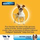 Pedigree Dentastix - Treats Pedigree Dentastix - Treats