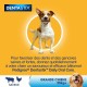 Pedigree Dentastix - Treats Pedigree Dentastix - Treats