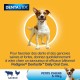 Pedigree Dentastix - Treats Pedigree Dentastix - Treats