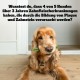 Pedigree Dog Snacks Dog Treats Dentastix Daily Fresh Dental Care, 4 x (4 x 7 Sticks / 110 g), 1.76 kg Pedigree Dog Snacks Dog Treats Dentastix Daily Fresh Dental Care, 4 x (4 x 7 Sticks / 110 g), 1.76 kg
