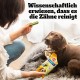 Pedigree Dog Snacks Dog Treats Dentastix Daily Fresh Dental Care, 4 x (4 x 7 Sticks / 110 g), 1.76 kg Pedigree Dog Snacks Dog Treats Dentastix Daily Fresh Dental Care, 4 x (4 x 7 Sticks / 110 g), 1.76 kg