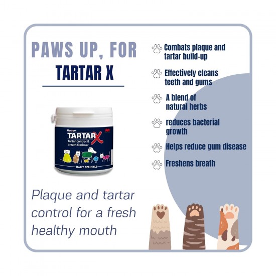 Phytopet is a natural herbal and Homoeopathic Remedy for Pets and Dog Cat Whelping Box & Queening Phytopet is a natural herbal and Homoeopathic Remedy for Pets and Dog Cat Whelping Box & Queening
