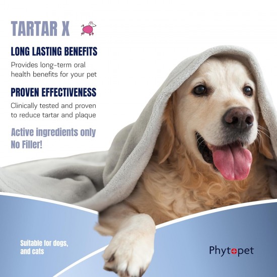 Phytopet is a natural herbal and Homoeopathic Remedy for Pets and Dog Cat Whelping Box & Queening Phytopet is a natural herbal and Homoeopathic Remedy for Pets and Dog Cat Whelping Box & Queening