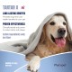 Phytopet is a natural herbal and Homoeopathic Remedy for Pets and Dog Cat Whelping Box & Queening Phytopet is a natural herbal and Homoeopathic Remedy for Pets and Dog Cat Whelping Box & Queening