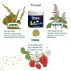 Phytopet is a natural herbal and Homoeopathic Remedy for Pets and Dog Cat Whelping Box & Queening Phytopet is a natural herbal and Homoeopathic Remedy for Pets and Dog Cat Whelping Box & Queening