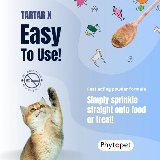 Phytopet is a natural herbal and Homoeopathic Remedy for Pets and Dog Cat Whelping Box & Queening Phytopet is a natural herbal and Homoeopathic Remedy for Pets and Dog Cat Whelping Box & Queening