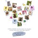 Phytopet is a natural herbal and Homoeopathic Remedy for Pets and Dog Cat Whelping Box & Queening Phytopet is a natural herbal and Homoeopathic Remedy for Pets and Dog Cat Whelping Box & Queening
