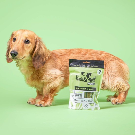Pooch & Mutt - Superfood Dental Sticks for Dogs, Spirulina & Mint Flavoured Dental Sticks for Dogs, 1 Pack of 7 Sticks Pooch & Mutt - Superfood Dental Sticks for Dogs, Spirulina & Mint Flavoured Dental Sticks for Dogs, 1 Pack of 7 Sticks