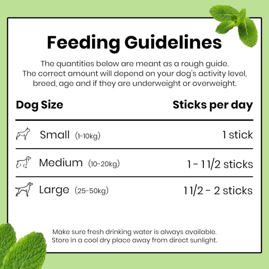 Pooch & Mutt - Superfood Dental Sticks for Dogs, Spirulina & Mint Flavoured Dental Sticks for Dogs, 1 Pack of 7 Sticks Pooch & Mutt - Superfood Dental Sticks for Dogs, Spirulina & Mint Flavoured Dental Sticks for Dogs, 1 Pack of 7 Sticks