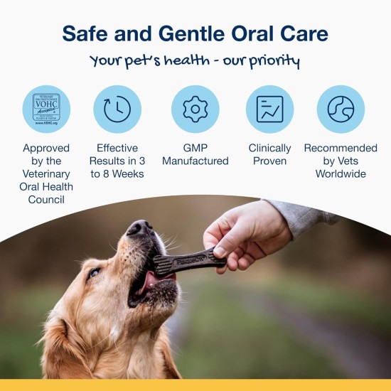 ProDen PlaqueOff 20 Mini-Dental-Knochen für kleine Hunde und Zwergrassen – Entferner von Zahnstein, Plaque & Mundgeruch, Spar-Bundle im 2er-Pack (Erdnussbutter & Banane) ProDen PlaqueOff 20 Mini-Dental-Knochen für kleine Hunde und Zwergrassen – Entferner von Zahnstein, Plaque & Mundgeruch, Spar-Bundle im 2er-Pack (Erdnussbutter & Banane)