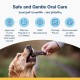 ProDen PlaqueOff 20 Mini-Dental-Knochen für kleine Hunde und Zwergrassen – Entferner von Zahnstein, Plaque & Mundgeruch, Spar-Bundle im 2er-Pack (Erdnussbutter & Banane) ProDen PlaqueOff 20 Mini-Dental-Knochen für kleine Hunde und Zwergrassen – Entferner von Zahnstein, Plaque & Mundgeruch, Spar-Bundle im 2er-Pack (Erdnussbutter & Banane)