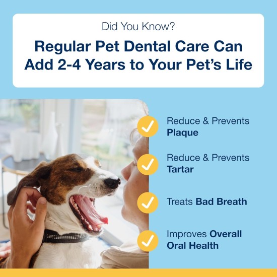 ProDen PlaqueOff 20 Mini-Dental-Knochen für kleine Hunde und Zwergrassen – Entferner von Zahnstein, Plaque & Mundgeruch, Spar-Bundle im 2er-Pack (Erdnussbutter & Banane) ProDen PlaqueOff 20 Mini-Dental-Knochen für kleine Hunde und Zwergrassen – Entferner von Zahnstein, Plaque & Mundgeruch, Spar-Bundle im 2er-Pack (Erdnussbutter & Banane)
