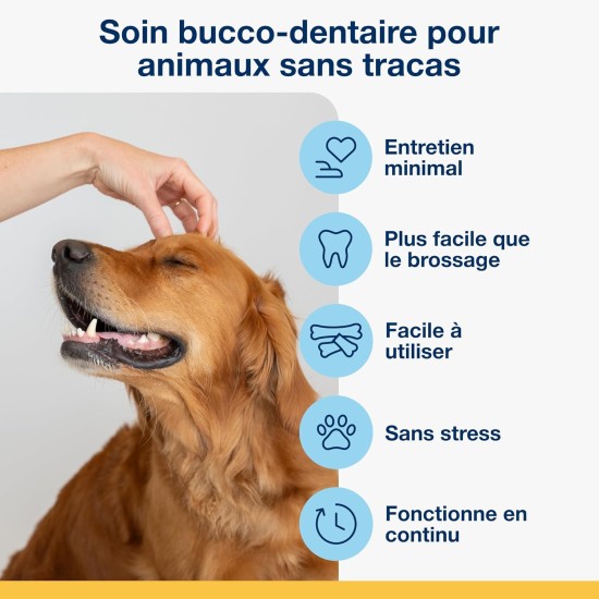 ProDen PlaqueOff Bones for Dogs Dental Care, for Medium and Large Dogs, Tartar Remover Dog, Dental Bones Against Plaque and Bad Breath Dog, Vegetables, Pack of 13 ProDen PlaqueOff Bones for Dogs Dental Care, for Medium and Large Dogs, Tartar Remover Dog, Dental Bones Against Plaque and Bad Breath Dog, Vegetables, Pack of 13