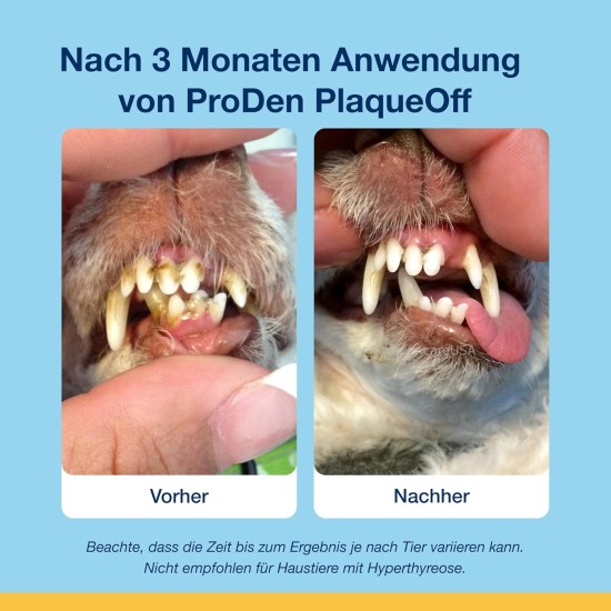 ProDen PlaqueOff Soft Chews, Tin of 120 Treats, Cat Dental Care Snacks, Natural Dental Care Cats, Bad Breath and Tartar Removal, Plaque Remover ProDen PlaqueOff Soft Chews, Tin of 120 Treats, Cat Dental Care Snacks, Natural Dental Care Cats, Bad Breath and Tartar Removal, Plaque Remover