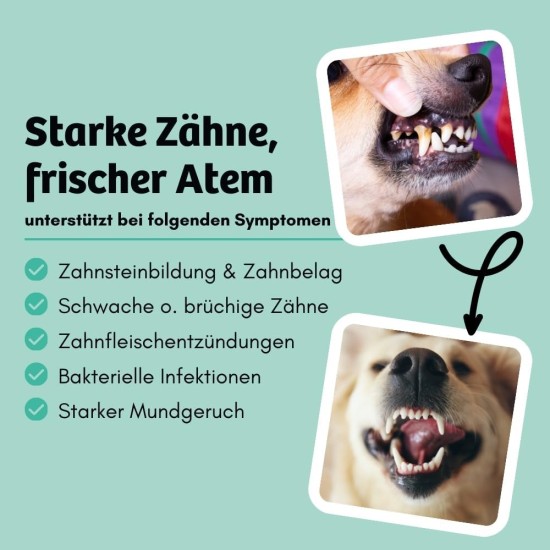 Softe Knabbersticks für Hunde 60g, Mundgeruch & Zahnstein, Fettreduziert & Pflanzlich, fördert angenehmen Atem & Zahnsteinreduzierung, Chlorella, Salbei, Pfefferminze Softe Knabbersticks für Hunde 60g, Mundgeruch & Zahnstein, Fettreduziert & Pflanzlich, fördert angenehmen Atem & Zahnsteinreduzierung, Chlorella, Salbei, Pfefferminze
