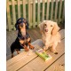 Soopa Kale and Apple Dental Sticks Dog Treat, 100 g