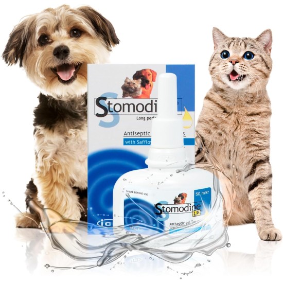 Stomodine Lp Gingival Gel 50 Ml Stomodine Lp Gingival Gel 50 Ml