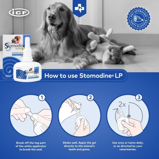 Stomodine Lp Gingival Gel 50 Ml Stomodine Lp Gingival Gel 50 Ml