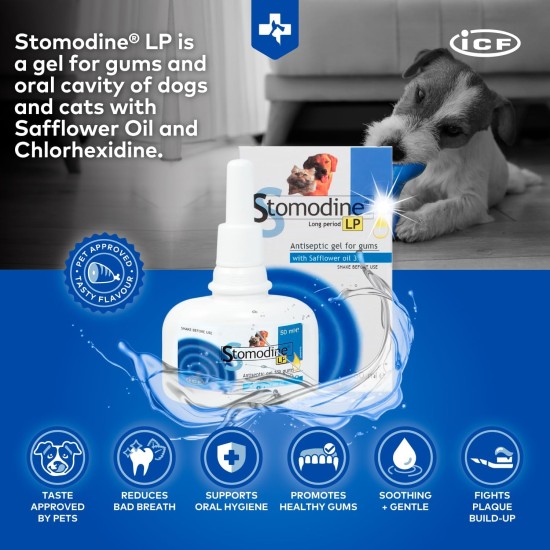 Stomodine Lp Gingival Gel 50 Ml Stomodine Lp Gingival Gel 50 Ml