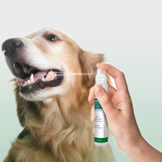 Vet's Best Advanced Dental Spray & Floss Ball for Dogs Vet's Best Advanced Dental Spray & Floss Ball for Dogs