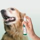 Vet's Best Advanced Dental Spray & Floss Ball for Dogs Vet's Best Advanced Dental Spray & Floss Ball for Dogs