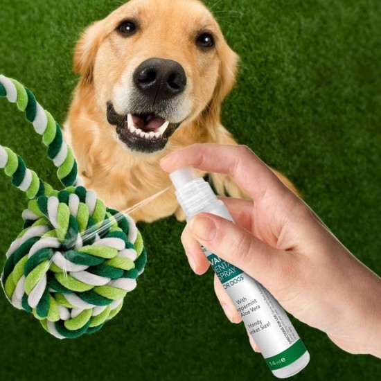 Vet's Best Advanced Dental Spray & Floss Ball for Dogs Vet's Best Advanced Dental Spray & Floss Ball for Dogs