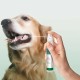Vet's Best Advanced Dental Spray & Floss Ball for Dogs Vet's Best Advanced Dental Spray & Floss Ball for Dogs